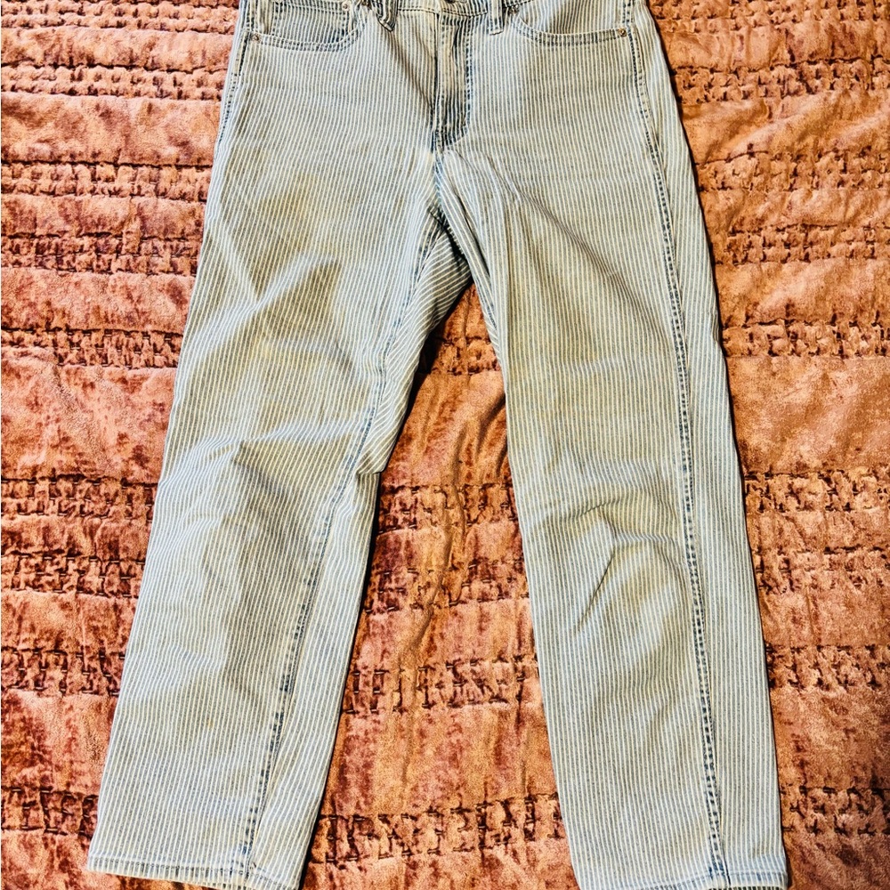 J. Crew Women’s Blue Striped Straight Jeans